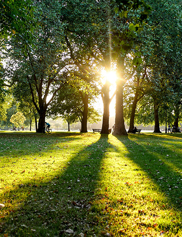 Hyde Park in Oxford Street